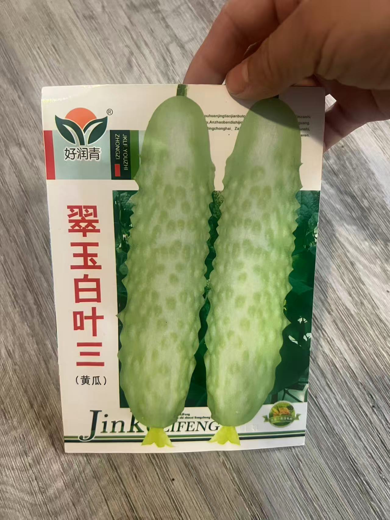 翠玉白叶三--黄瓜