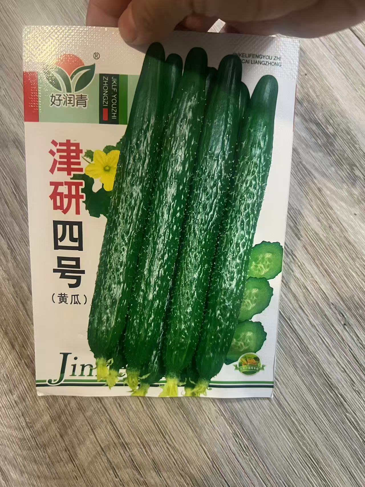 津研四号--黄瓜