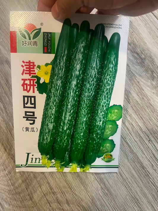 津研四号--黄瓜
