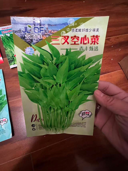 三叉空心菜--10克
