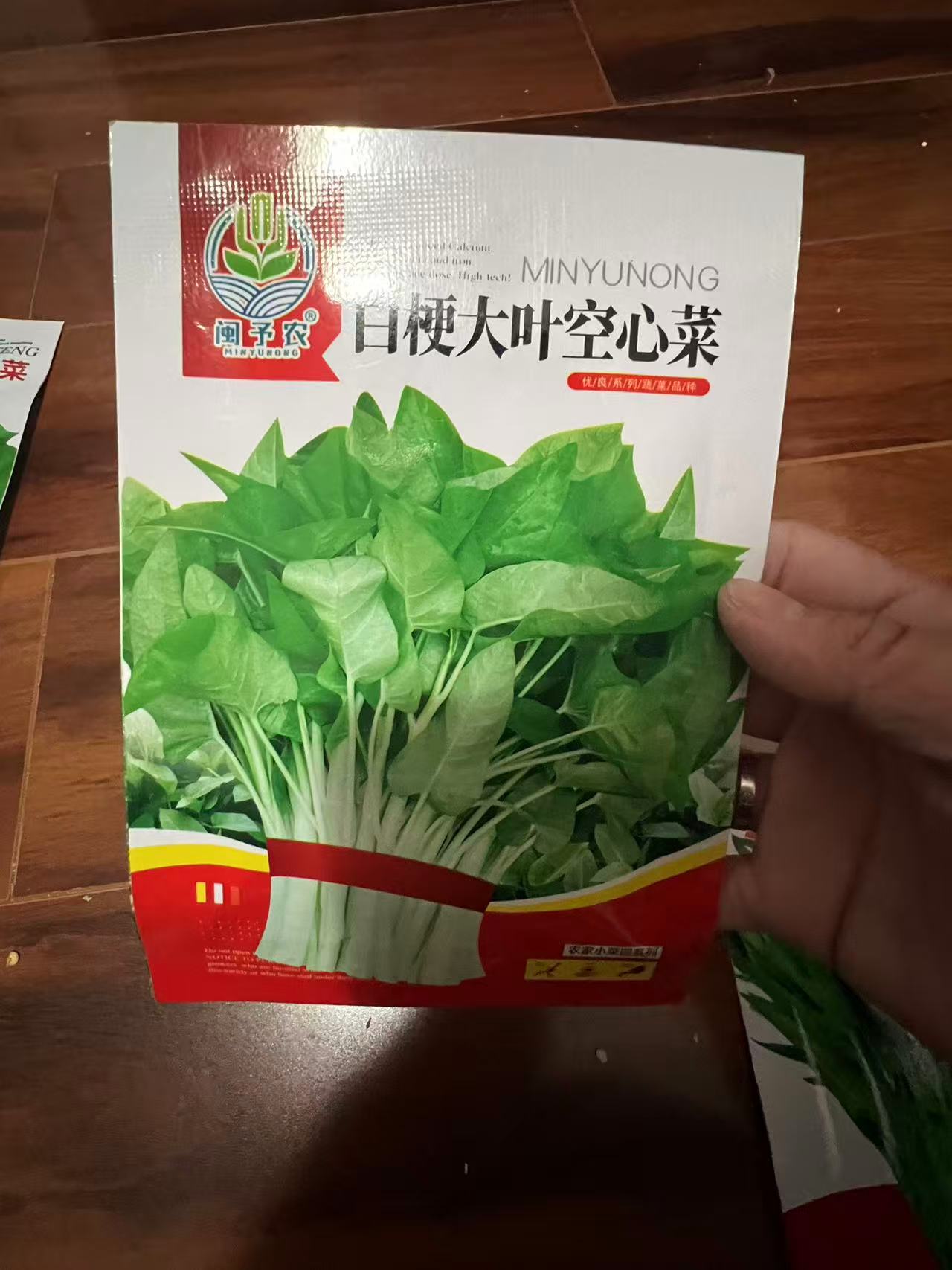 白梗大叶空心菜
