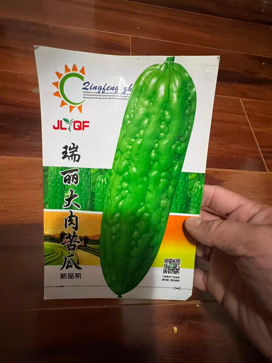 大肉苦瓜