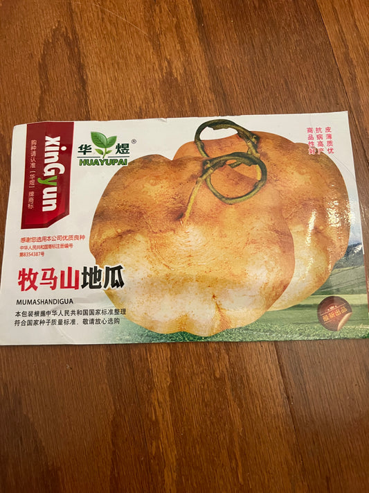 牧马山地瓜20粒