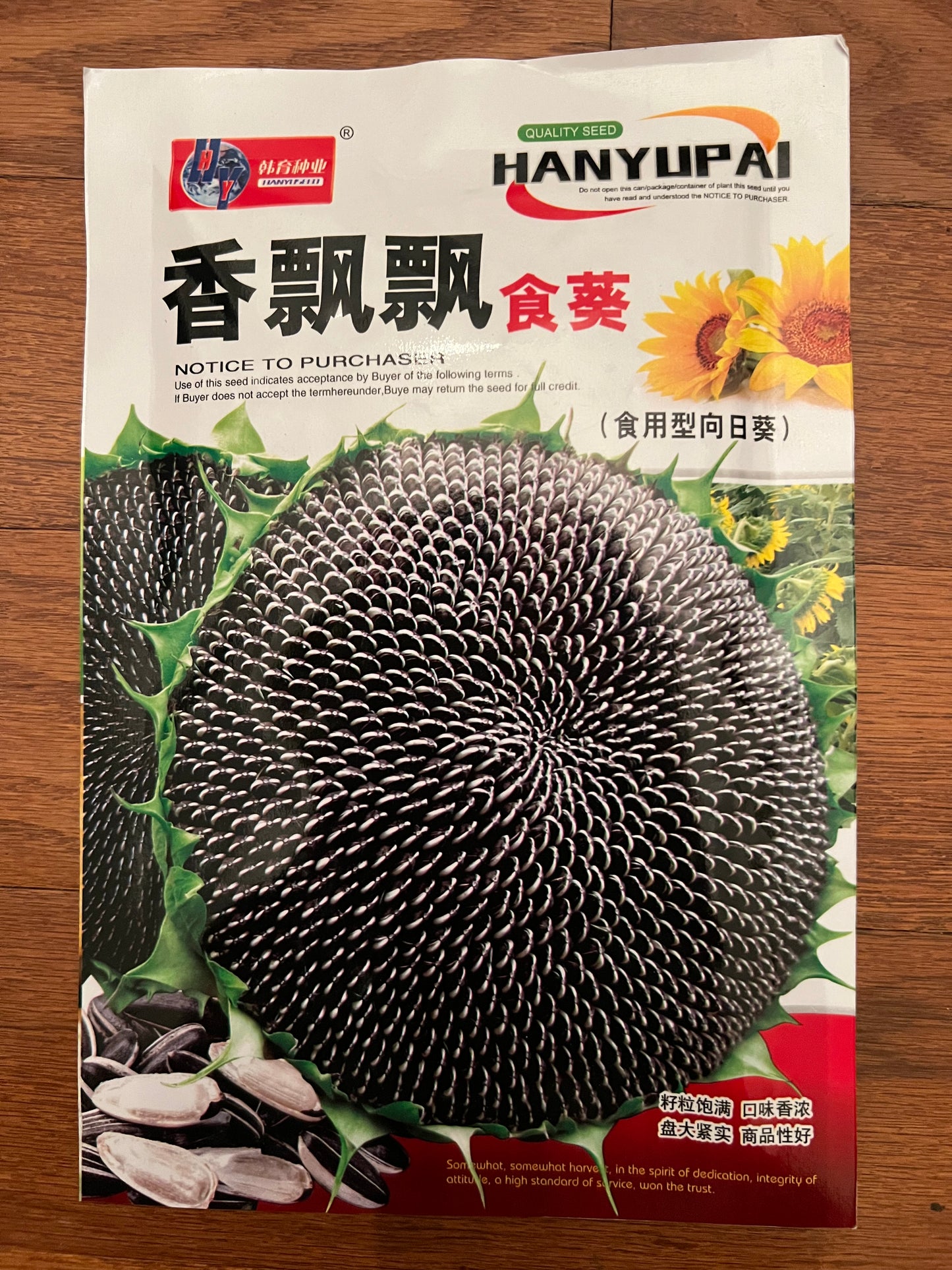 向日葵，实拍