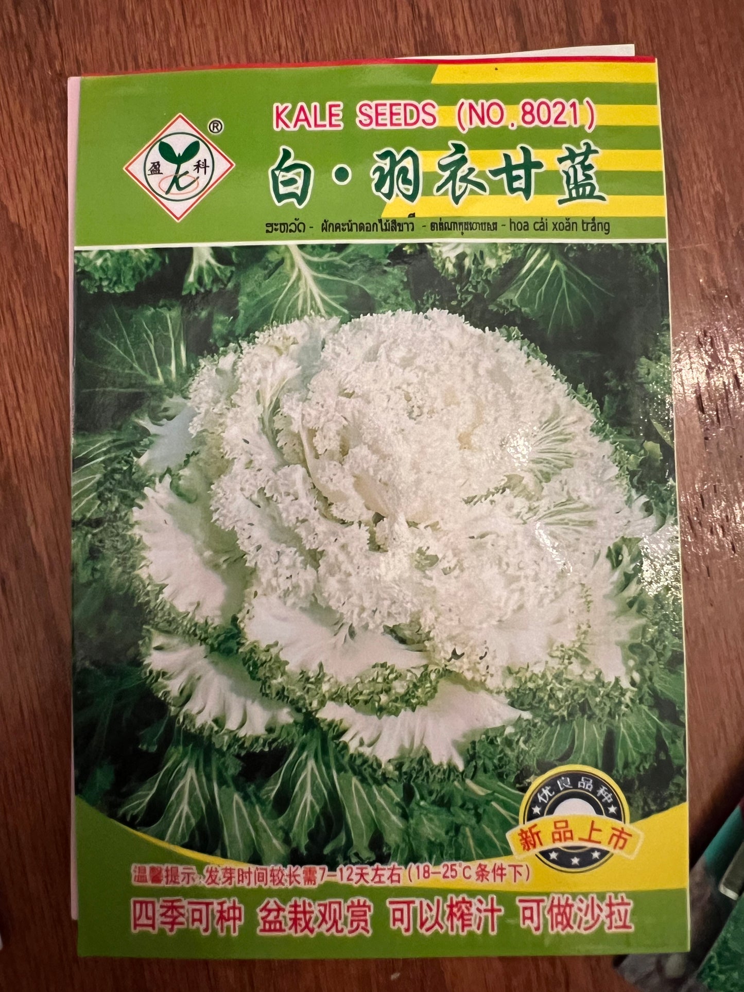 3款羽衣甘蓝种子100粒，夏秋播种