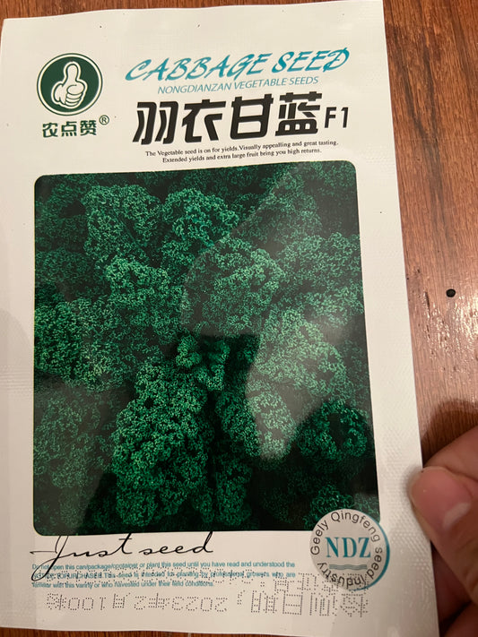 3款羽衣甘蓝种子100粒，夏秋播种