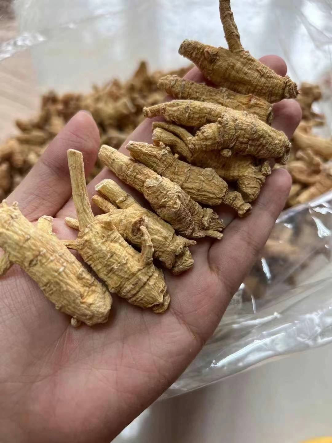 花旗参 1磅