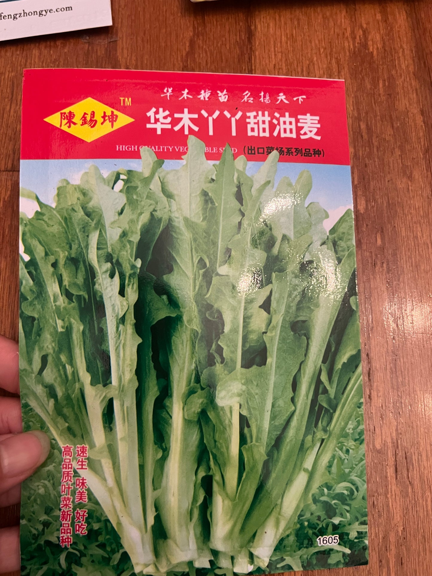 6款油麦菜种子请打开，春夏秋播种30-45天收成