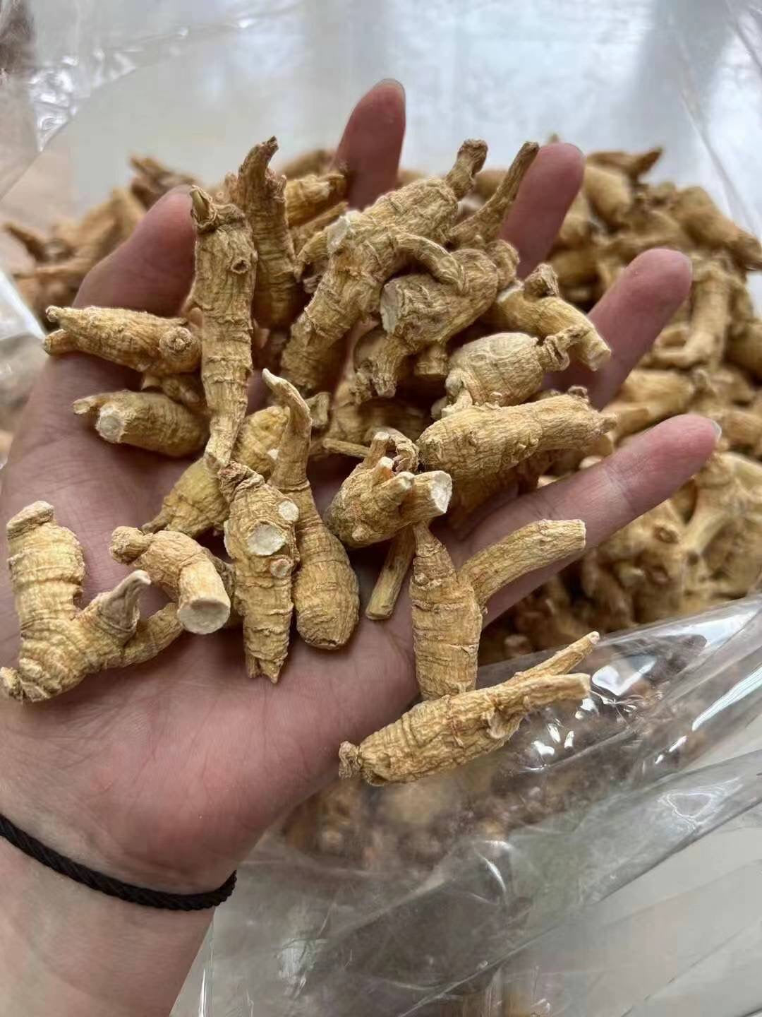 花旗参 1磅