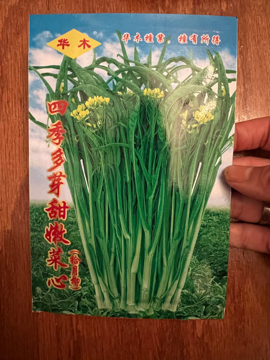 4款菜心种子请点开，春秋播种，40-60天收成